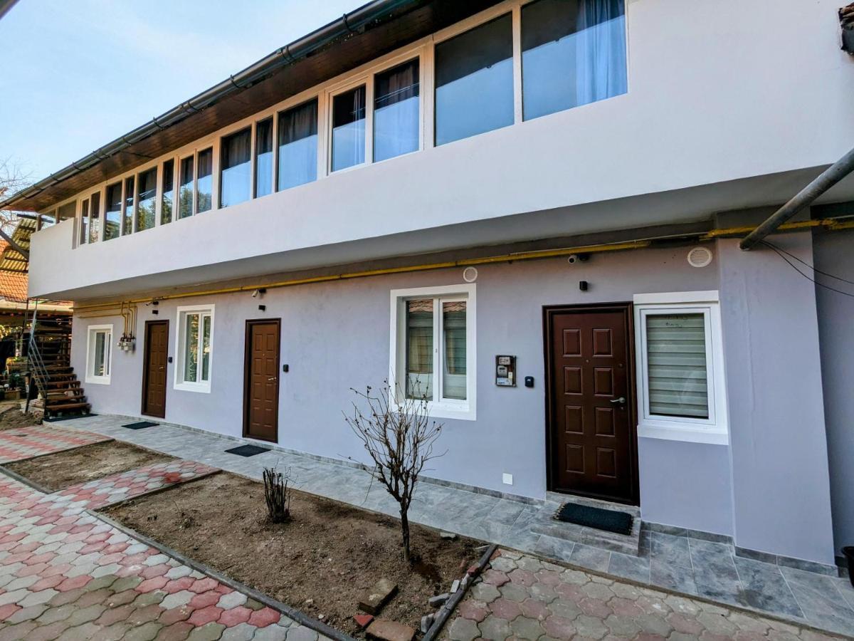 1 Josepartment Timişoara